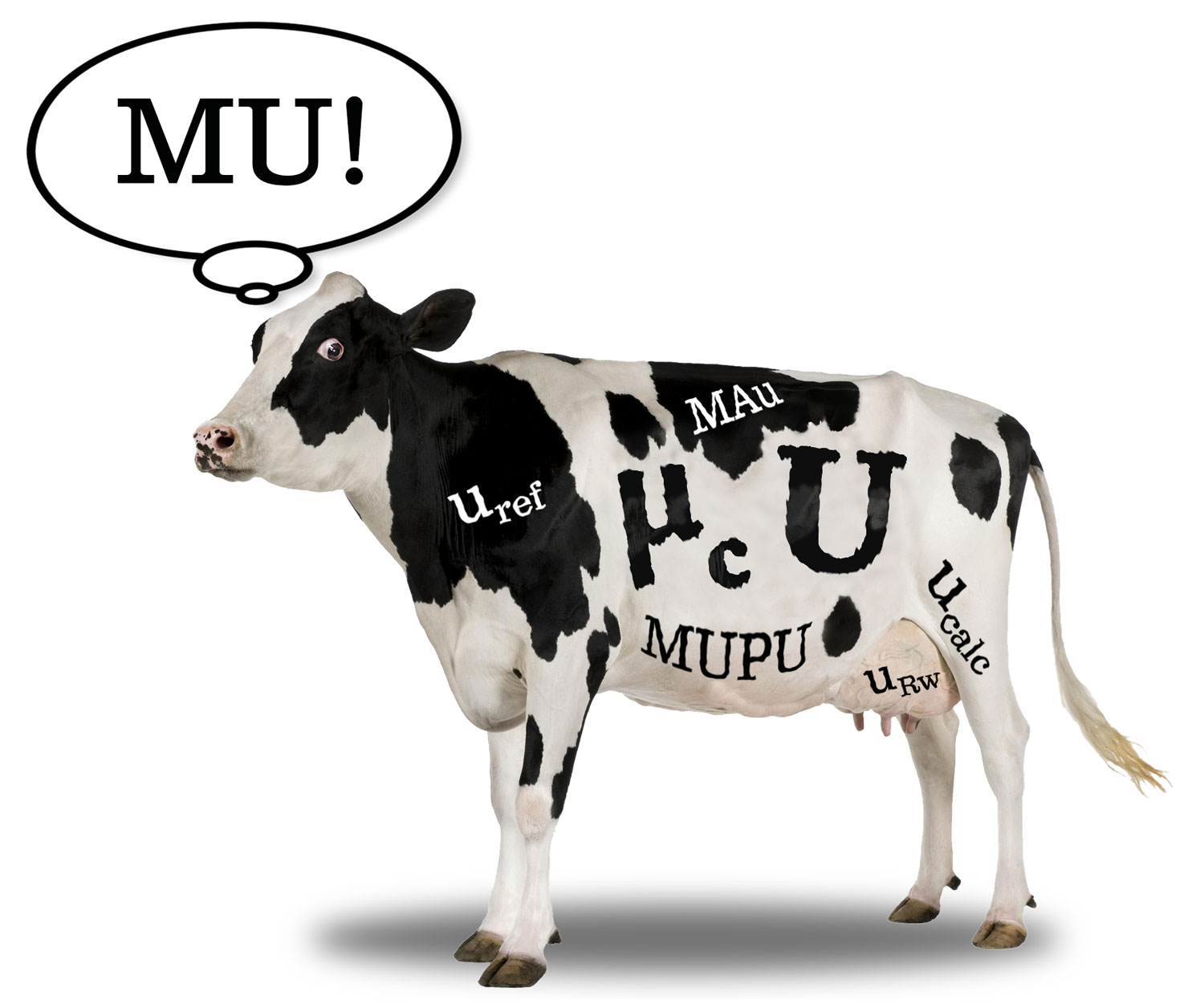 The MU cow